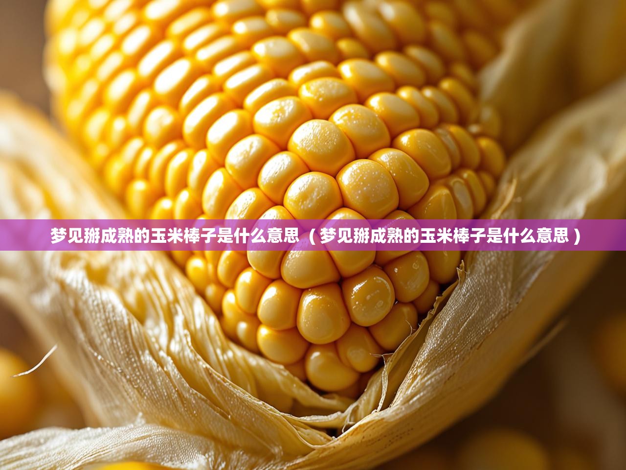 梦见掰成熟的玉米棒子是什么意思  ( 梦见掰成熟的玉米棒子是什么意思 )