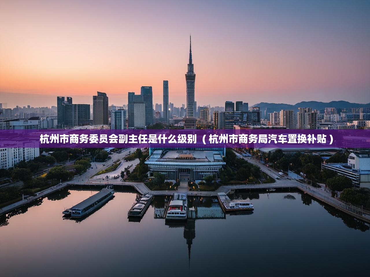  杭州市商务委员会副主任是什么级别  ( 杭州市商务局汽车置换补贴 )
