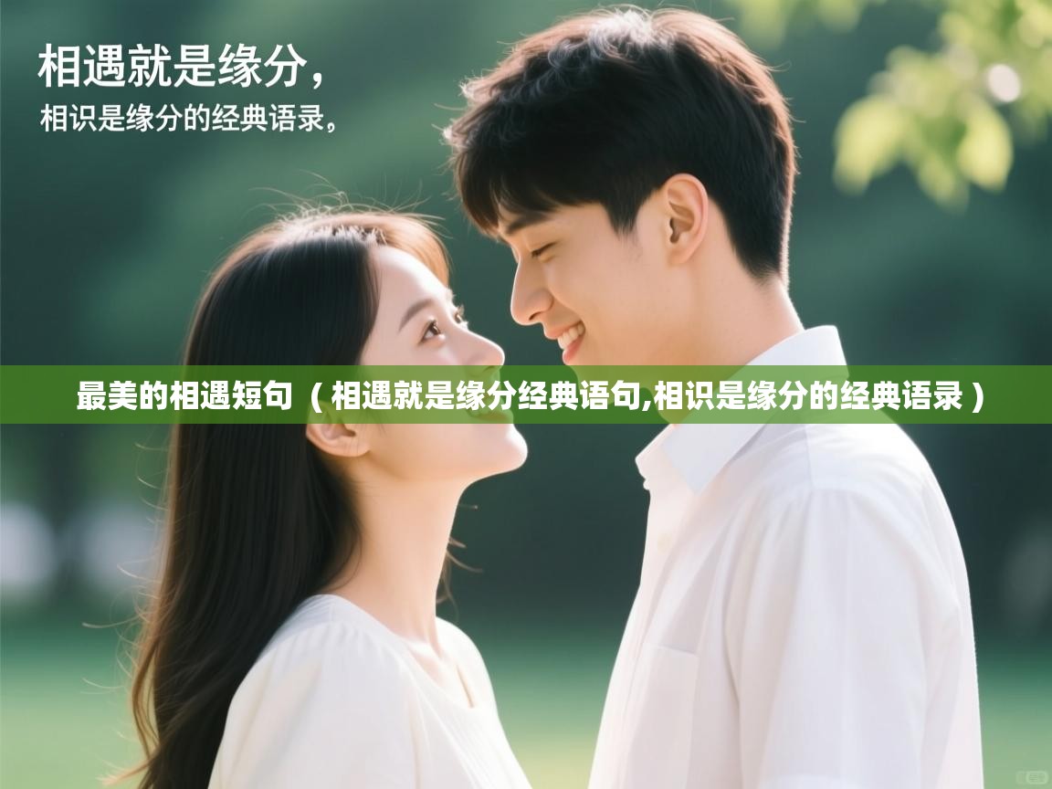  最美的相遇短句  ( 相遇就是缘分经典语句,相识是缘分的经典语录 )