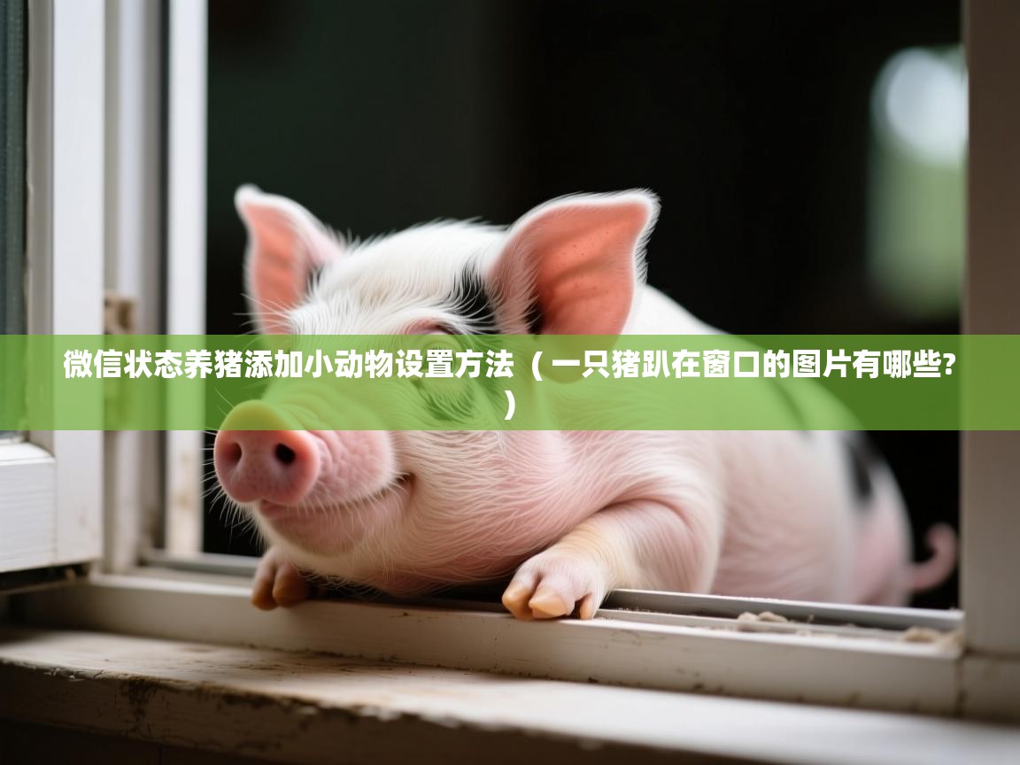 微信状态养猪添加小动物设置方法 ( 一只猪趴在窗口的图片有哪些? ) 微信状态养猪添加小动物设置方法 ( 一只猪趴在窗口的图片有哪些? )