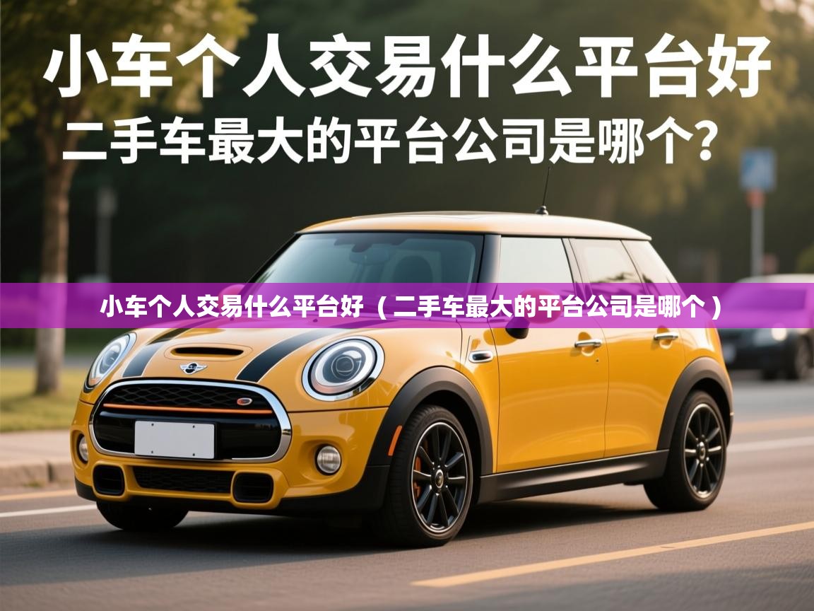  小车个人交易什么平台好  ( 二手车最大的平台公司是哪个 )