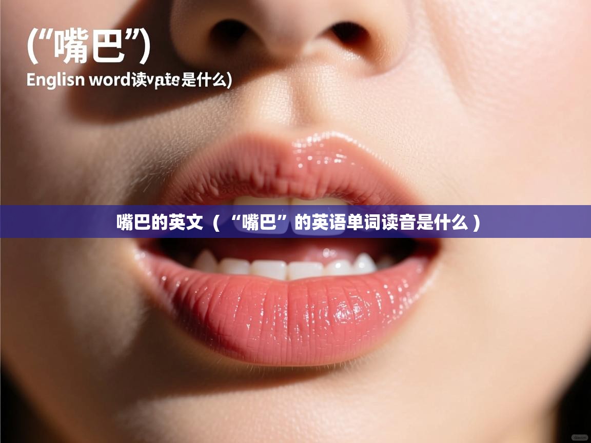  嘴巴的英文  ( “嘴巴”的英语单词读音是什么 )