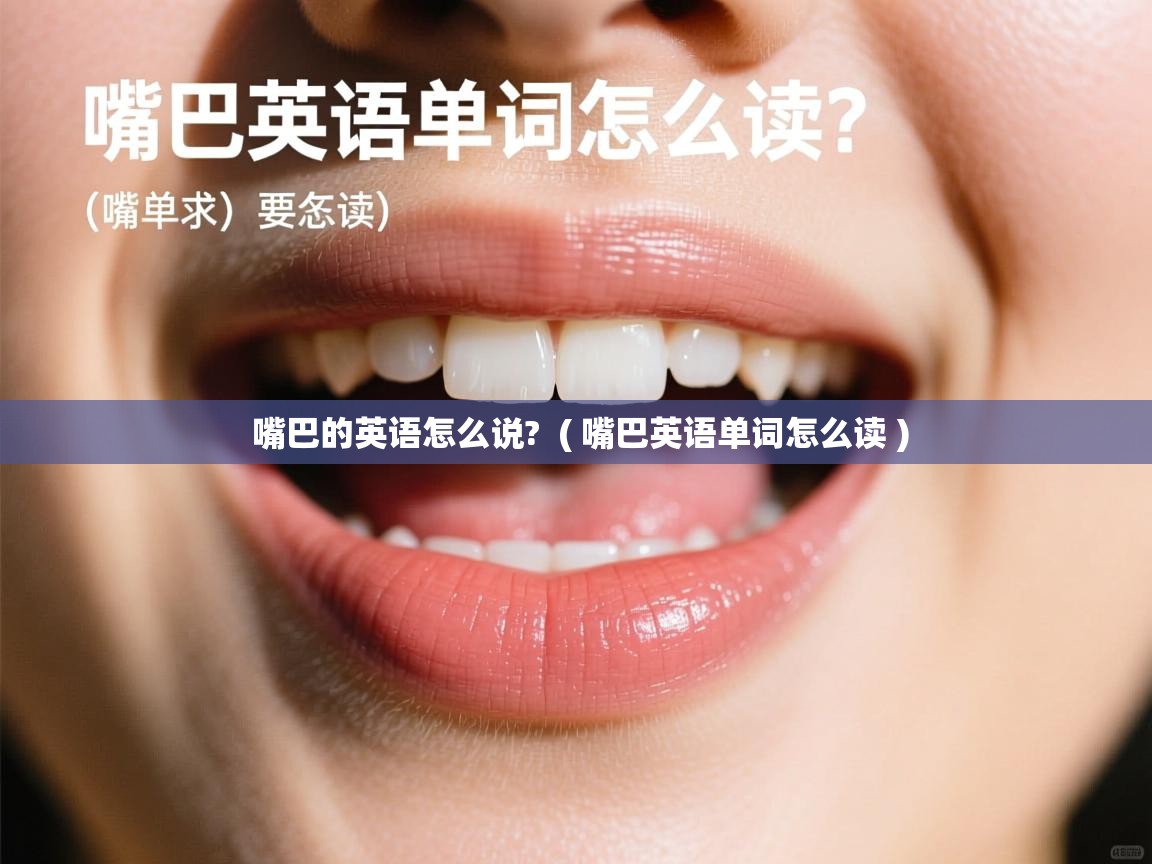  嘴巴的英语怎么说?  ( 嘴巴英语单词怎么读 )