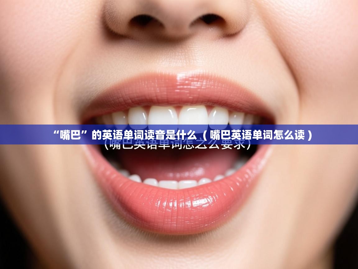  “嘴巴”的英语单词读音是什么  ( 嘴巴英语单词怎么读 )