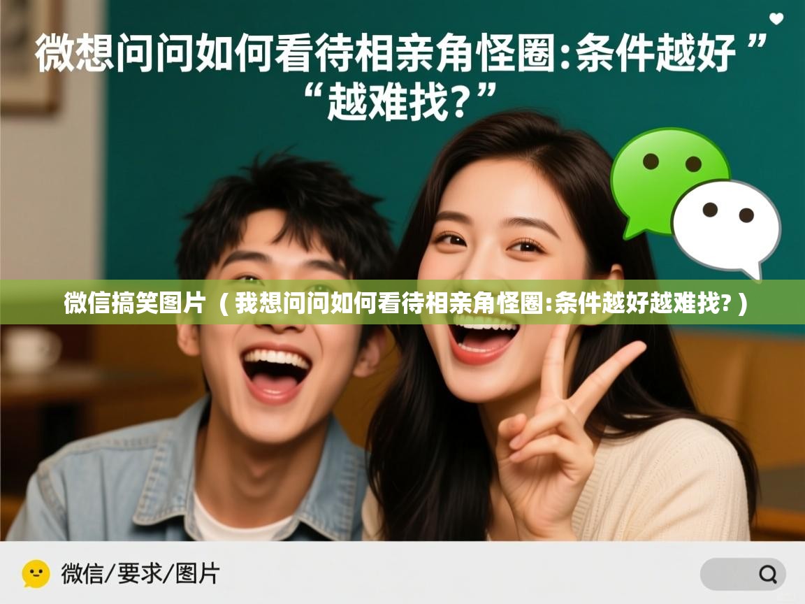  微信搞笑图片  ( 我想问问如何看待相亲角怪圈:条件越好越难找? )