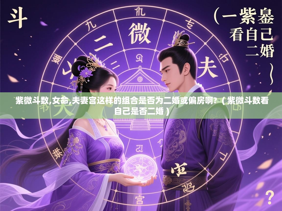 紫微斗数,女命,夫妻宫这样的组合是否为二婚或偏房啊? ( 紫微斗数看自己是否二婚 ) 紫微斗数,女命,夫妻宫这样的组合是否为二婚或偏房啊? ( 紫微斗数看自己是否二婚 )