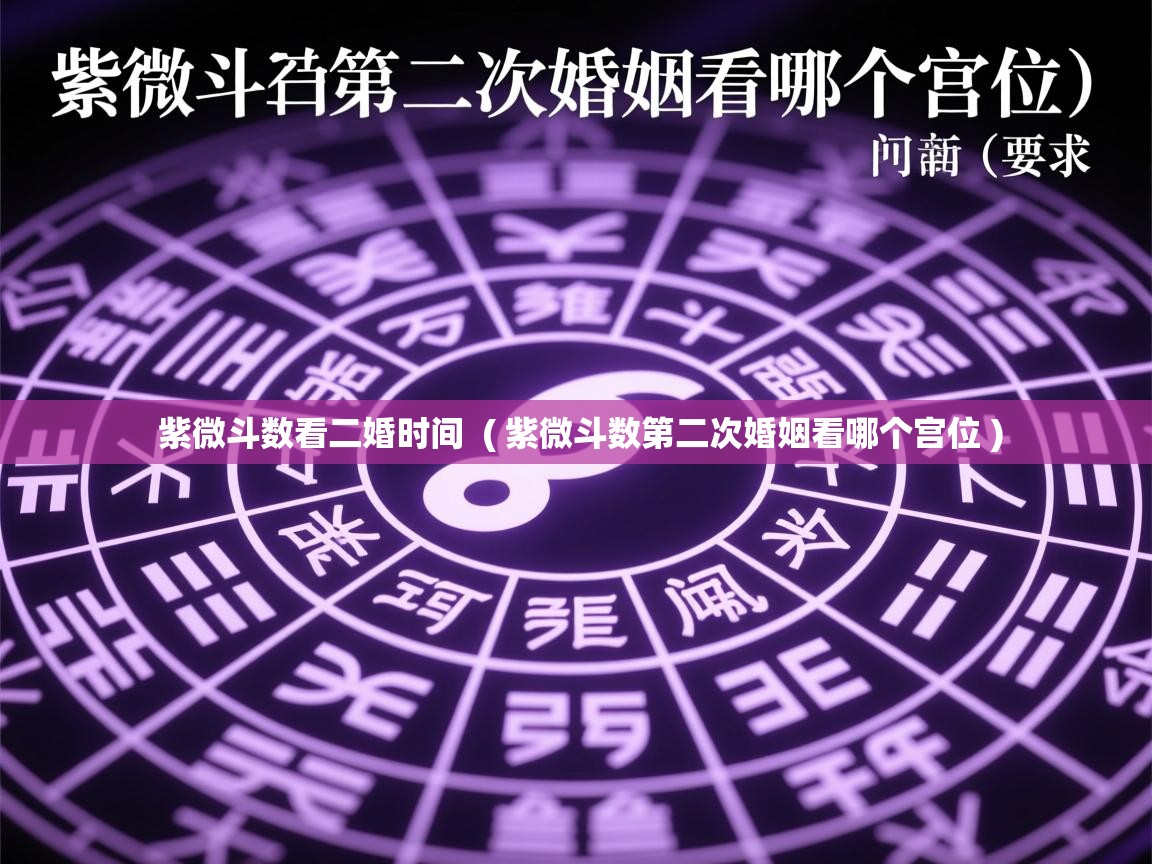  紫微斗数看二婚时间  ( 紫微斗数第二次婚姻看哪个宫位 )