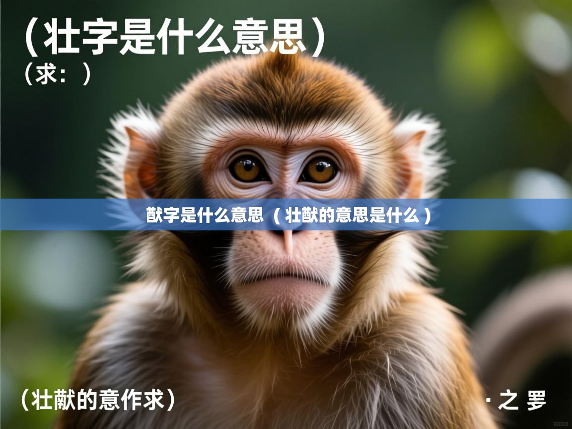  猷字是什么意思  ( 壮猷的意思是什么 )