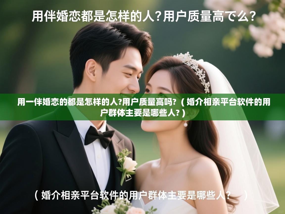  用一伴婚恋的都是怎样的人?用户质量高吗?  ( 婚介相亲平台软件的用户群体主要是哪些人? )
