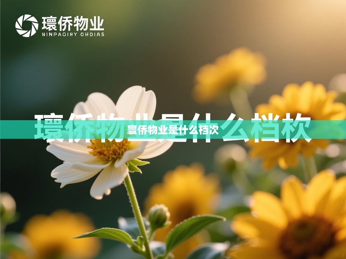  寰侨物业是什么档次 