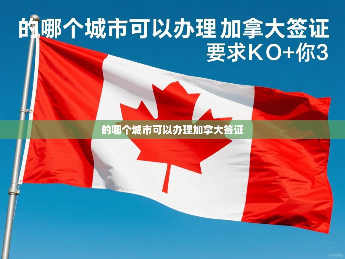  的哪个城市可以办理加拿大签证 