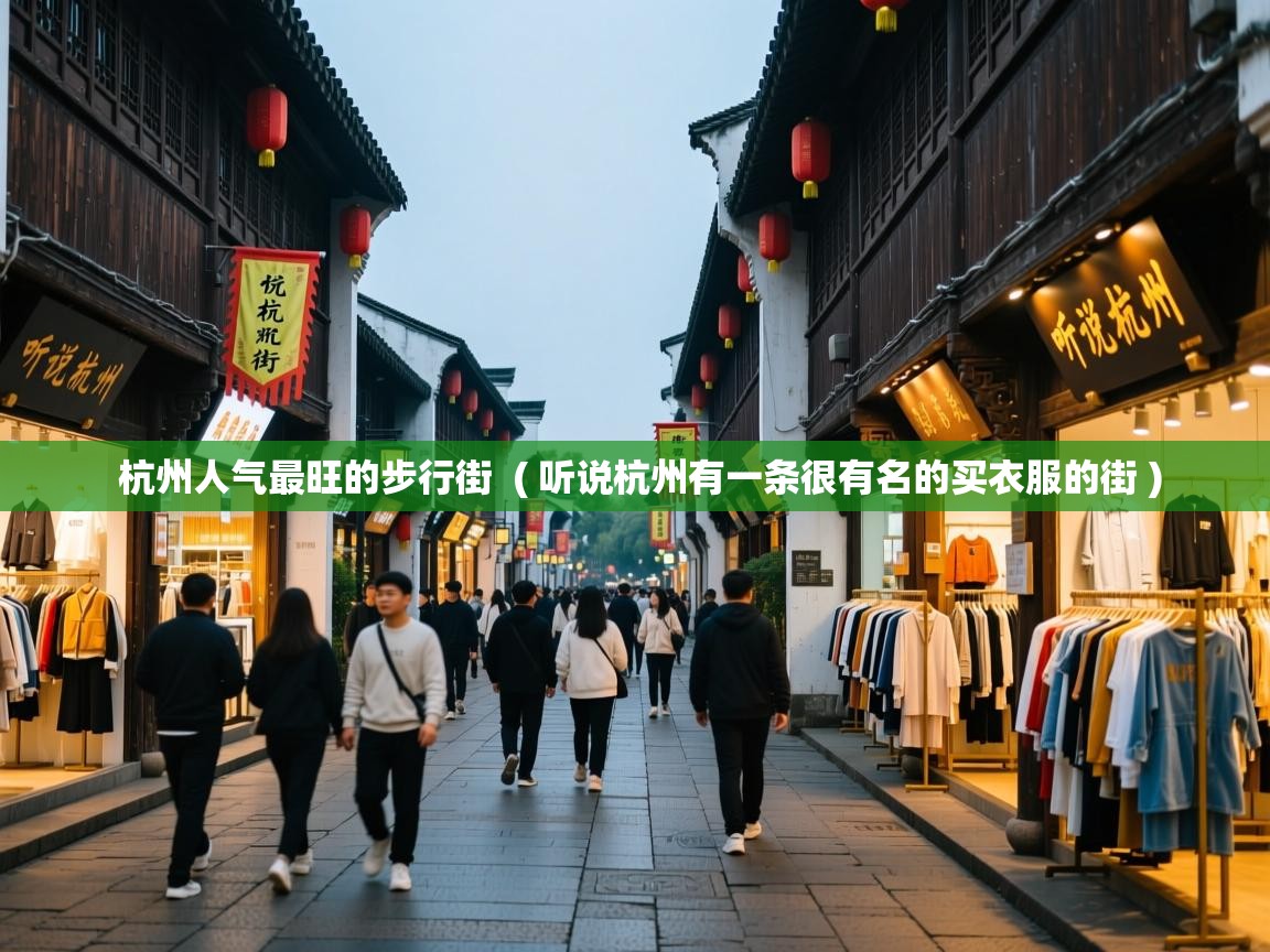  杭州人气最旺的步行街  ( 听说杭州有一条很有名的买衣服的街 )