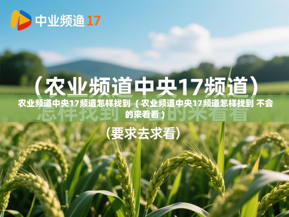  农业频道中央17频道怎样找到  ( 农业频道中央17频道怎样找到 不会的来看看 )