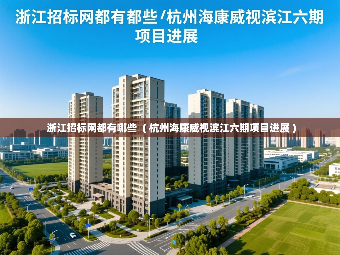  浙江招标网都有哪些  ( 杭州海康威视滨江六期项目进展 )