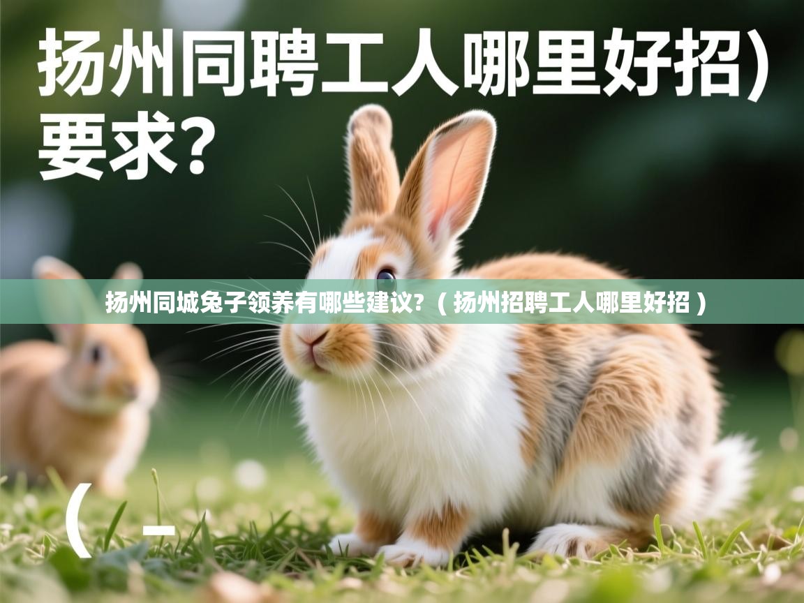  扬州同城兔子领养有哪些建议?  ( 扬州招聘工人哪里好招 )
