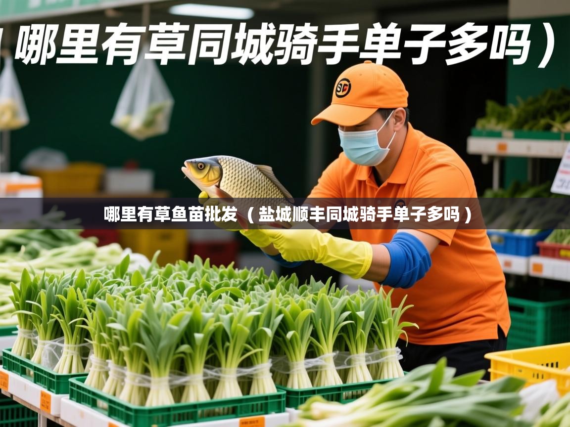  哪里有草鱼苗批发  ( 盐城顺丰同城骑手单子多吗 )
