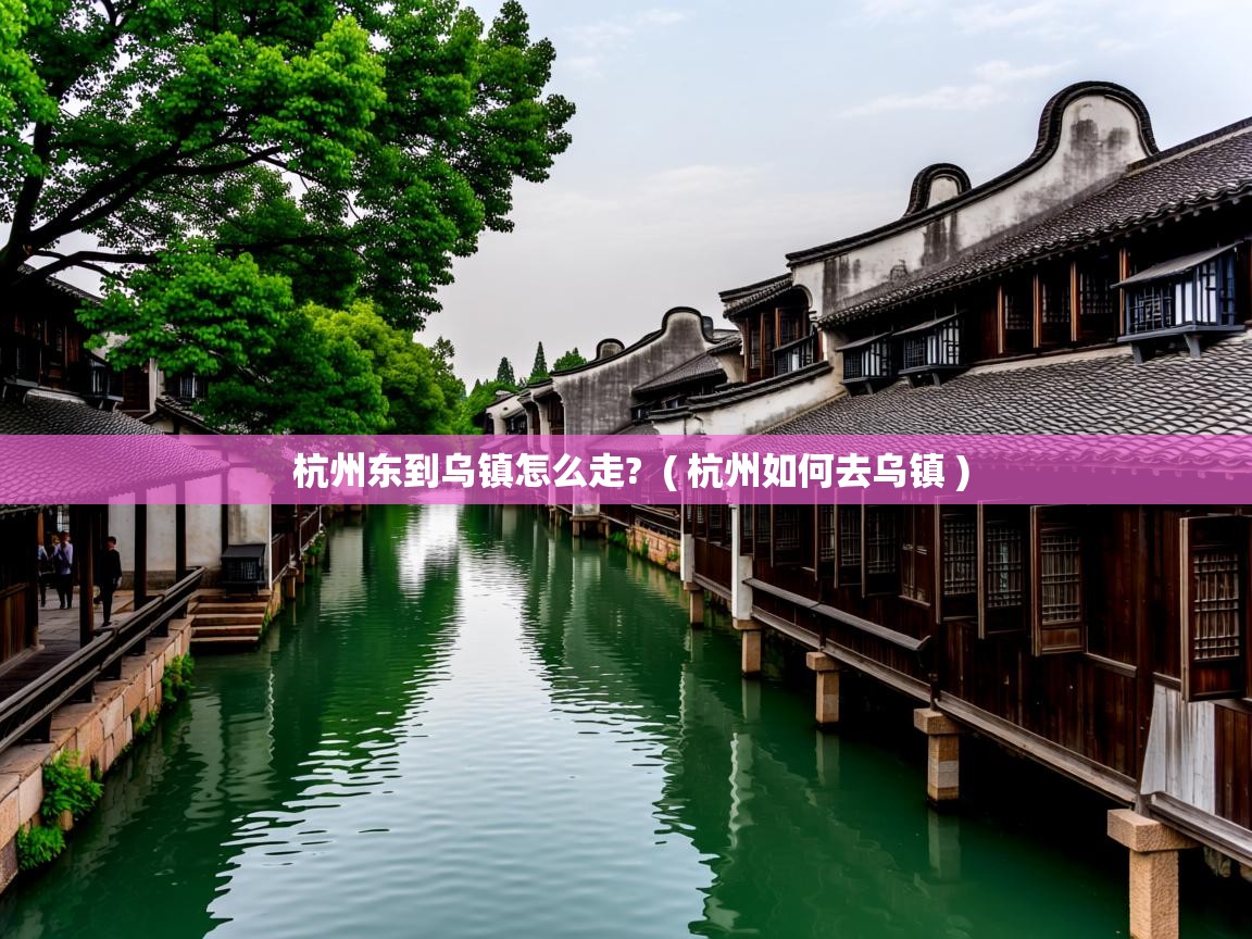  杭州东到乌镇怎么走?  ( 杭州如何去乌镇 )