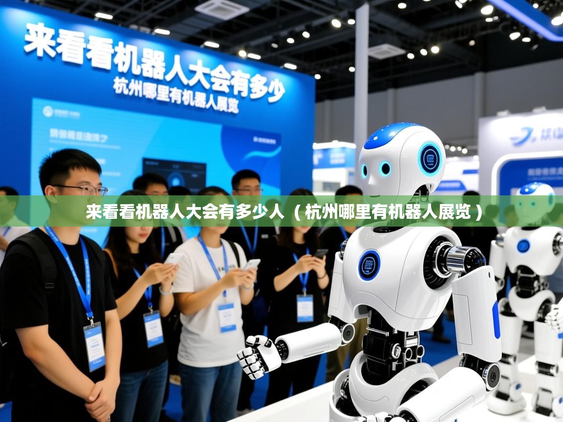  来看看机器人大会有多少人  ( 杭州哪里有机器人展览 )