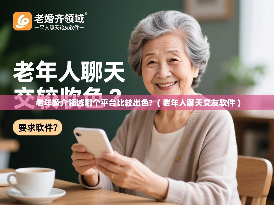  老年婚介领域哪个平台比较出色?  ( 老年人聊天交友软件 )