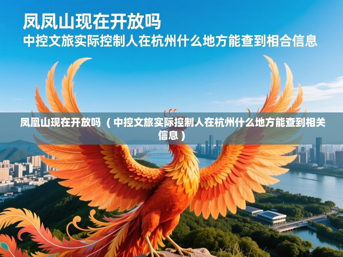  凤凰山现在开放吗  ( 中控文旅实际控制人在杭州什么地方能查到相关信息 )