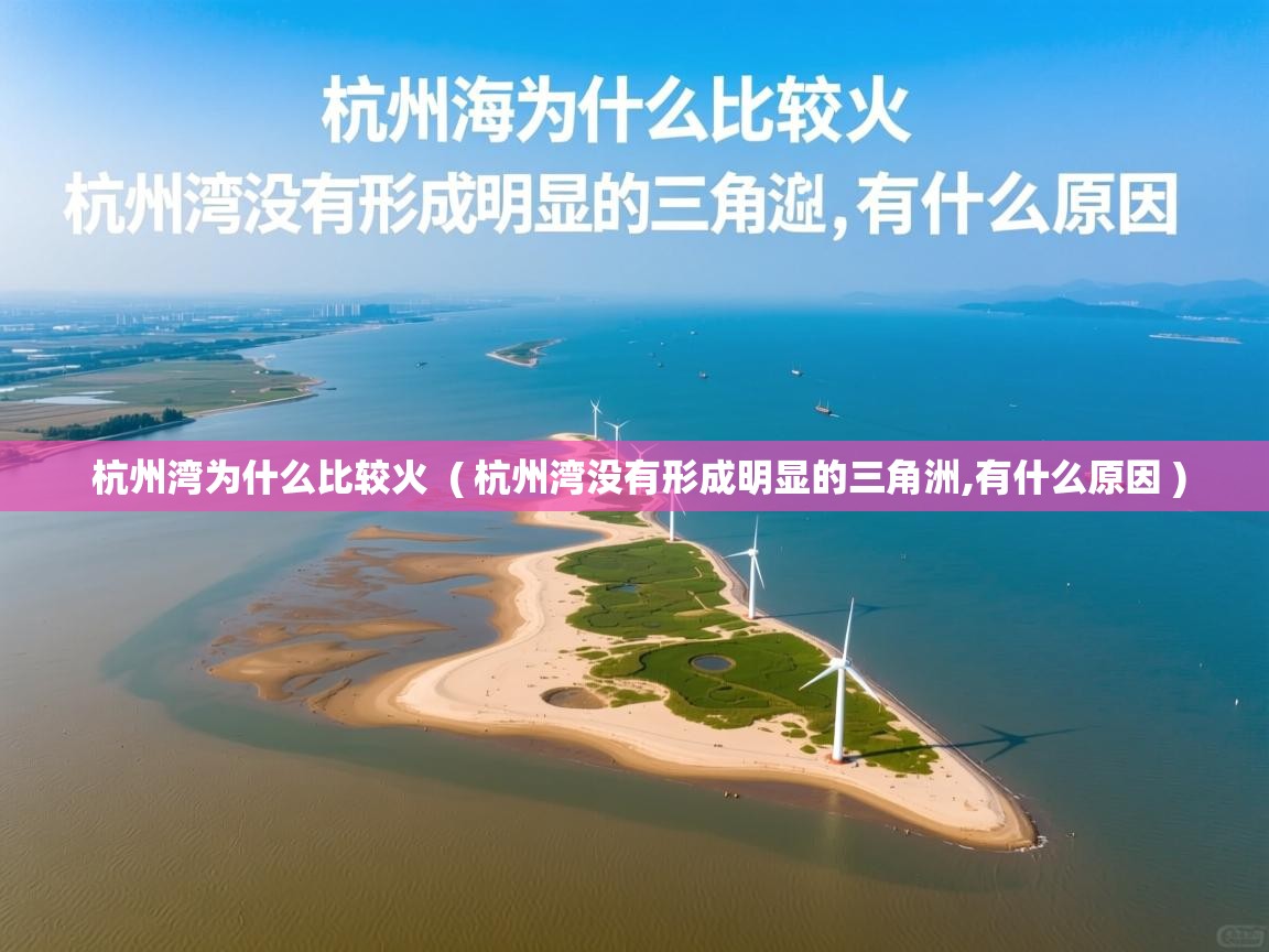  杭州湾为什么比较火  ( 杭州湾没有形成明显的三角洲,有什么原因 )