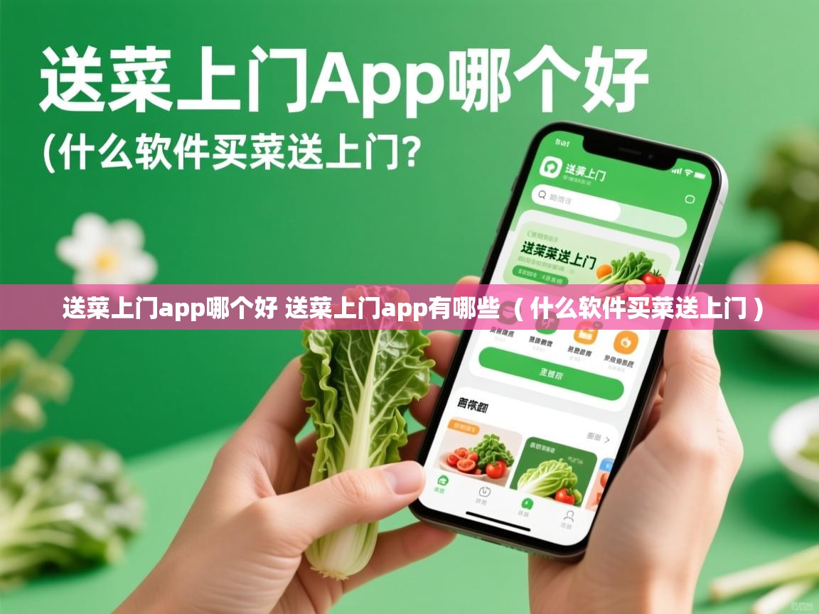  送菜上门app哪个好 送菜上门app有哪些  ( 什么软件买菜送上门 )