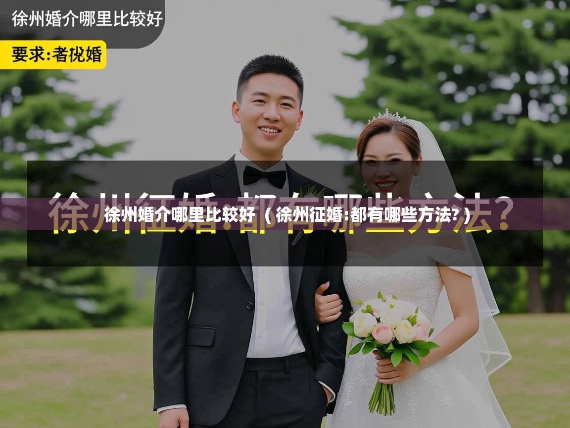  徐州婚介哪里比较好  ( 徐州征婚:都有哪些方法? )