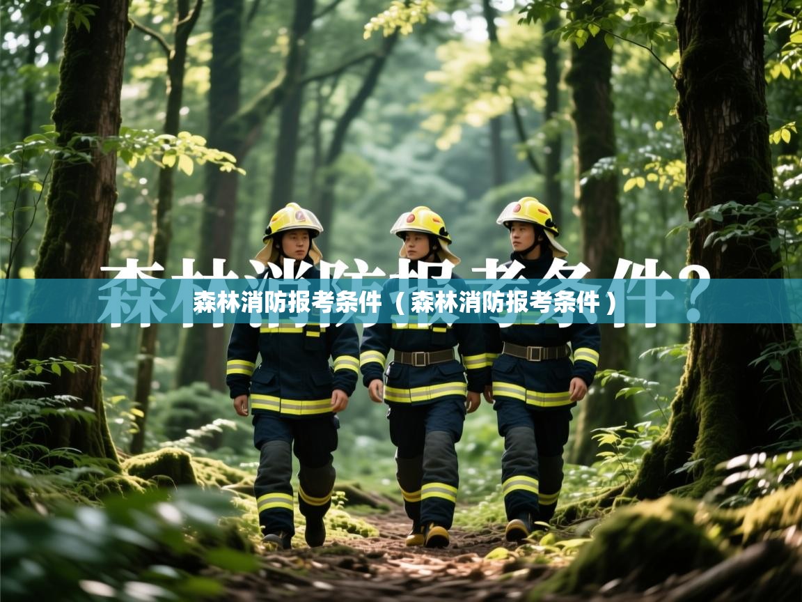 森林消防报考条件  ( 森林消防报考条件 )