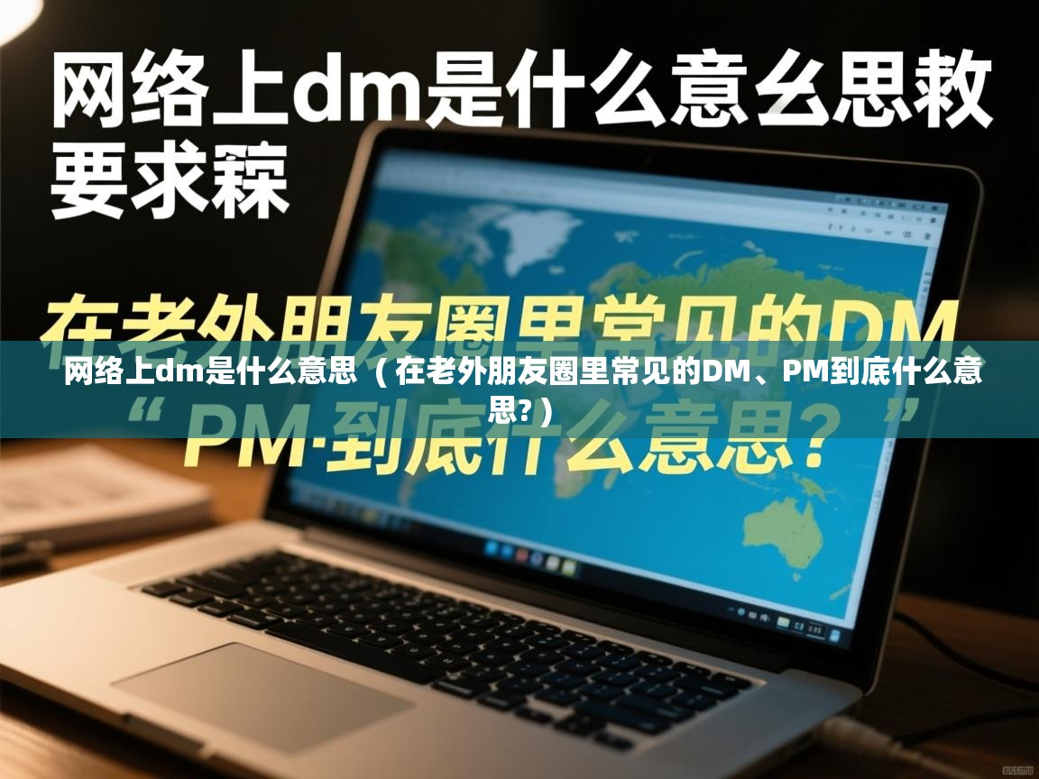  网络上dm是什么意思  ( 在老外朋友圈里常见的DM、PM到底什么意思? )