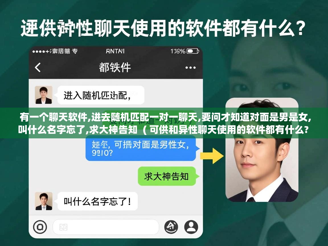  有一个聊天软件,进去随机匹配一对一聊天,要问才知道对面是男是女,叫什么名字忘了,求大神告知  ( 可供和异性聊天使用的软件都有什么? )