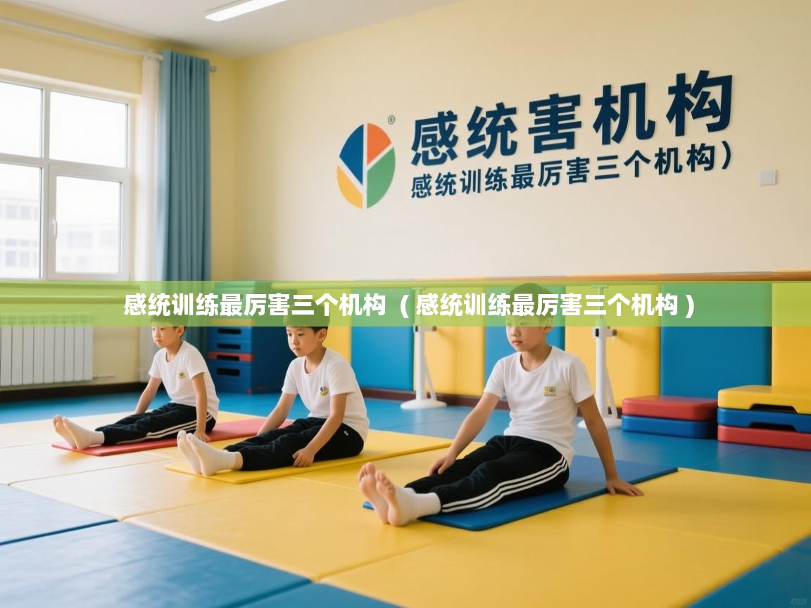  感统训练最厉害三个机构  ( 感统训练最厉害三个机构 )