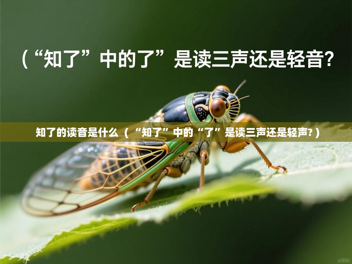 知了的读音是什么  ( “知了”中的“了”是读三声还是轻声? )