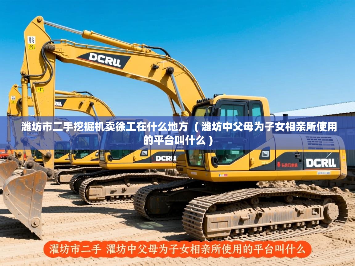  潍坊市二手挖掘机卖徐工在什么地方  ( 潍坊中父母为子女相亲所使用的平台叫什么 )