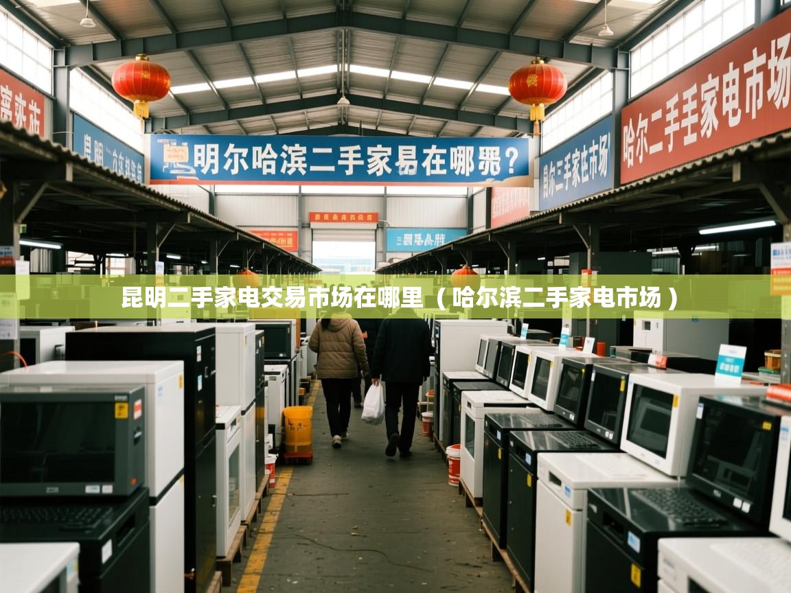  昆明二手家电交易市场在哪里  ( 哈尔滨二手家电市场 )