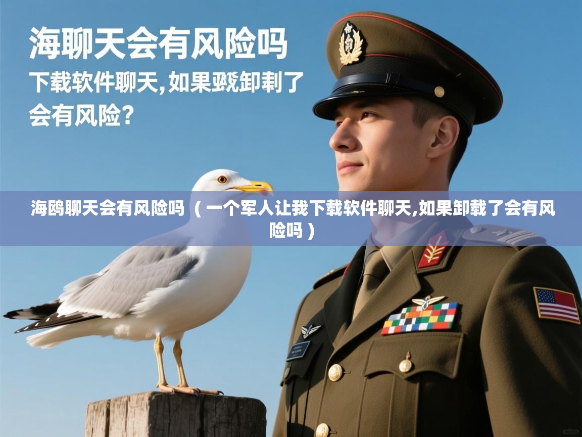  海鸥聊天会有风险吗  ( 一个军人让我下载软件聊天,如果卸载了会有风险吗 )