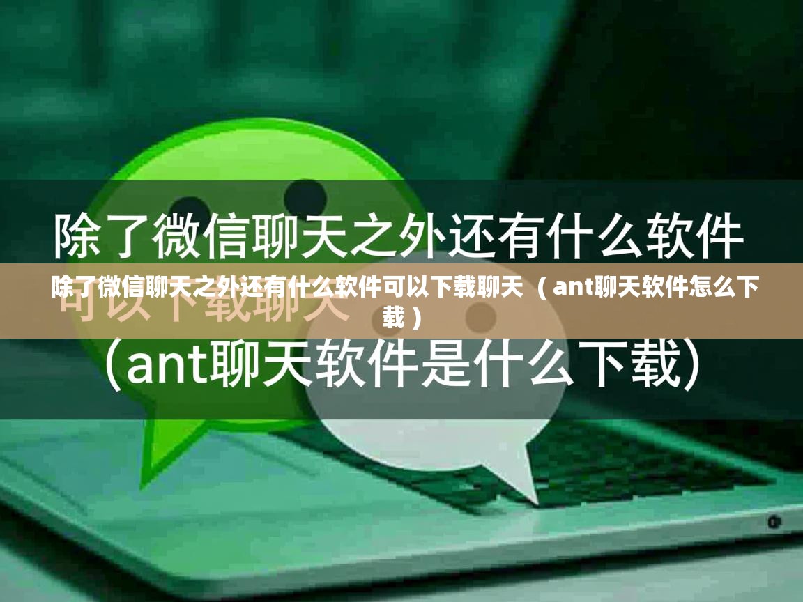  除了微信聊天之外还有什么软件可以下载聊天  ( ant聊天软件怎么下载 )