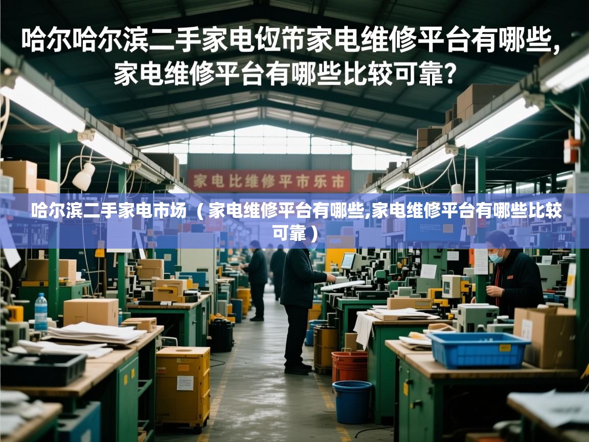  哈尔滨二手家电市场  ( 家电维修平台有哪些,家电维修平台有哪些比较可靠 )