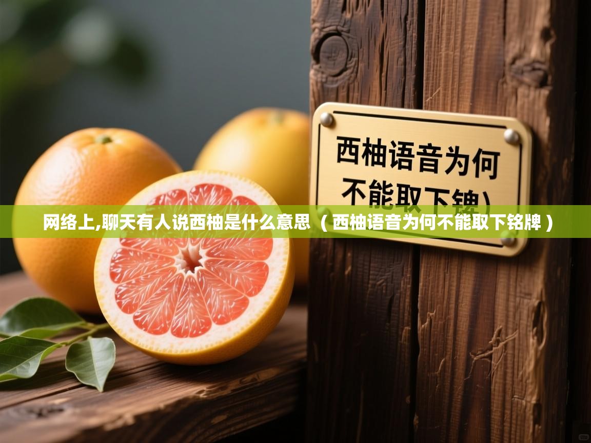  网络上,聊天有人说西柚是什么意思  ( 西柚语音为何不能取下铭牌 )