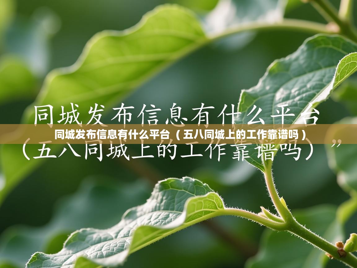  同城发布信息有什么平台  ( 五八同城上的工作靠谱吗 )