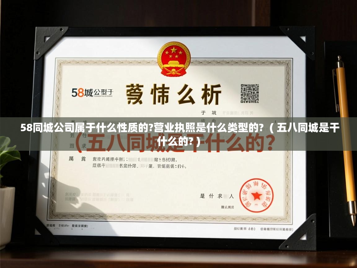  58同城公司属于什么性质的?营业执照是什么类型的?  ( 五八同城是干什么的? )