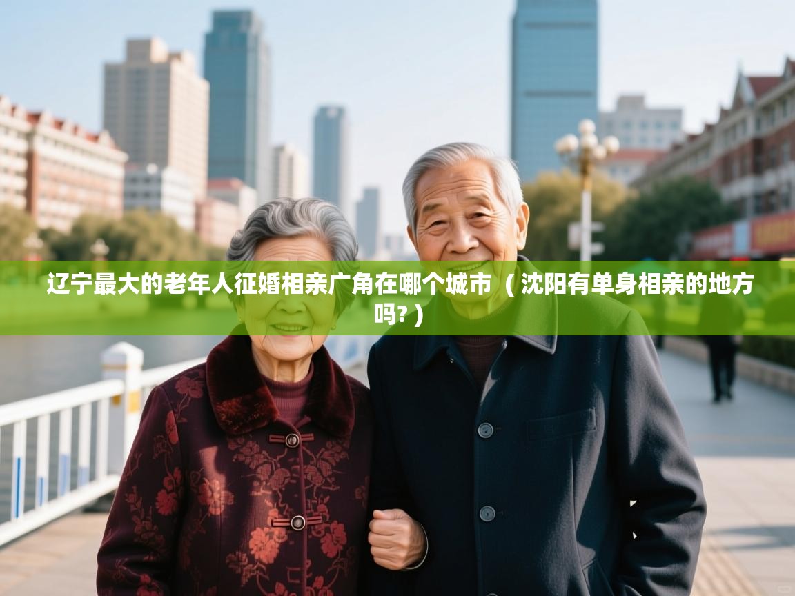  辽宁最大的老年人征婚相亲广角在哪个城市  ( 沈阳有单身相亲的地方吗? )