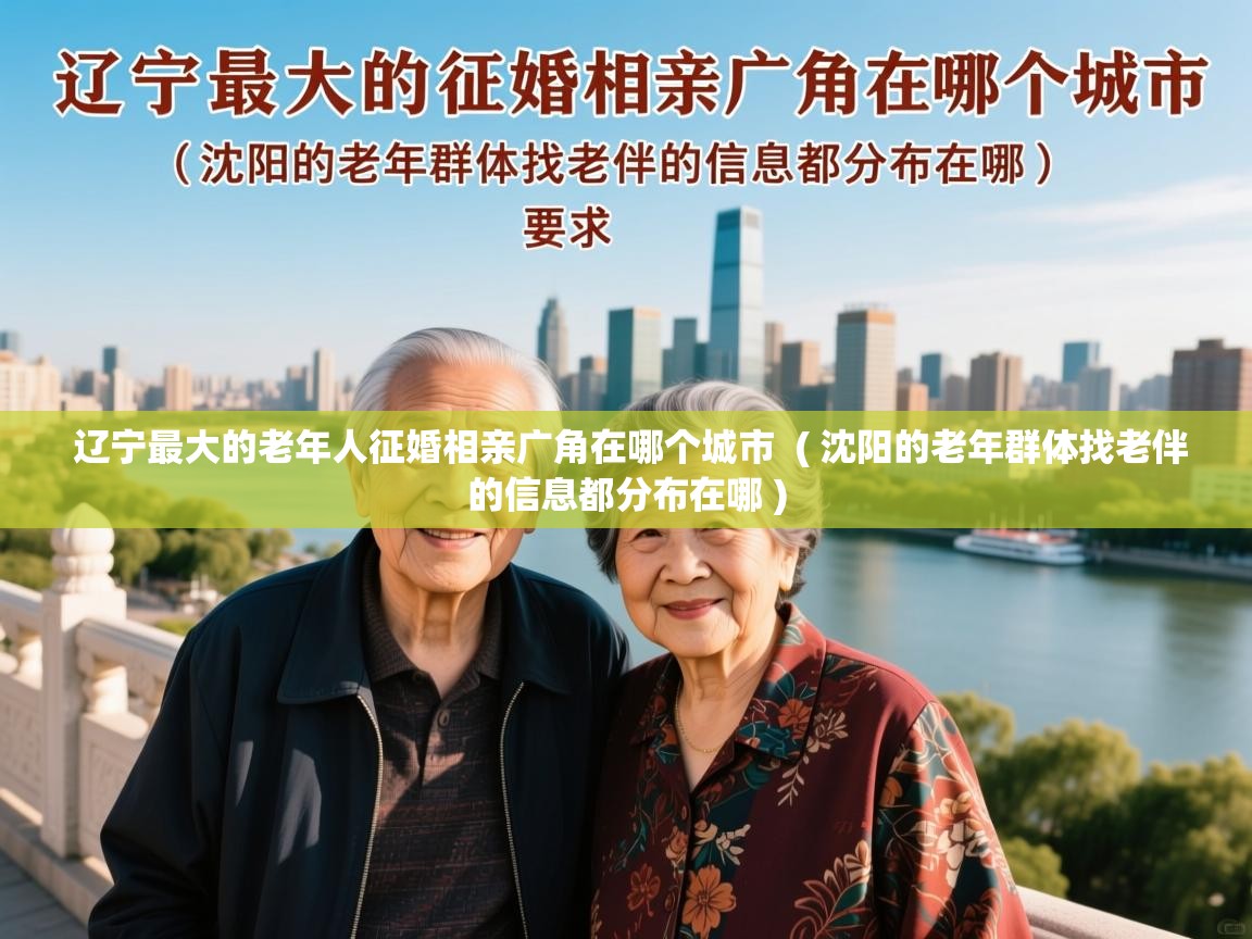  辽宁最大的老年人征婚相亲广角在哪个城市  ( 沈阳的老年群体找老伴的信息都分布在哪 )