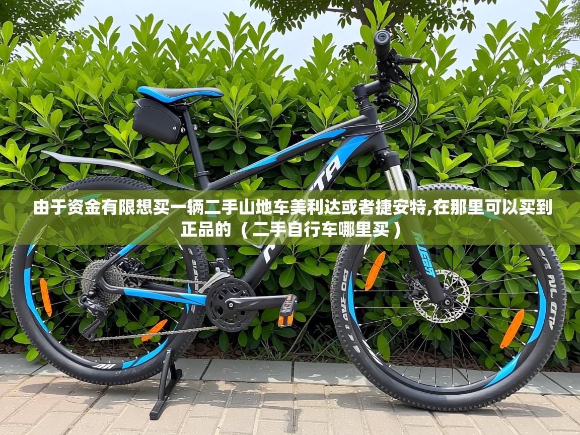  由于资金有限想买一辆二手山地车美利达或者捷安特,在那里可以买到正品的  ( 二手自行车哪里买 )