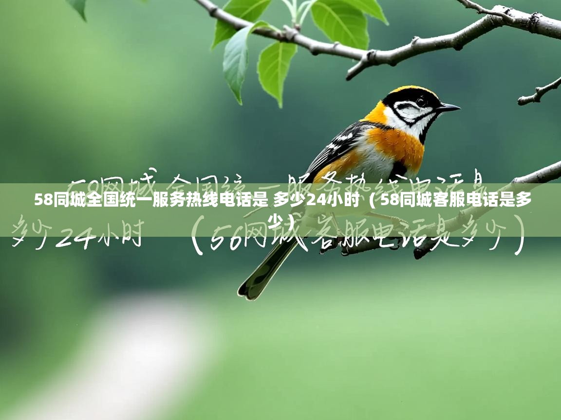 58同城全国统一服务热线电话是 多少24小时 ( 58同城客服电话是多少 ) 58同城全国统一服务热线电话是 多少24小时 ( 58同城客服电话是多少 )