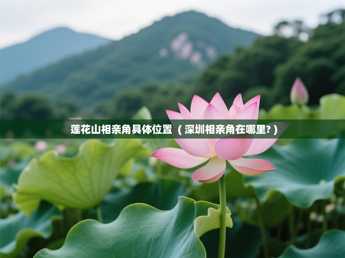  莲花山相亲角具体位置  ( 深圳相亲角在哪里? )