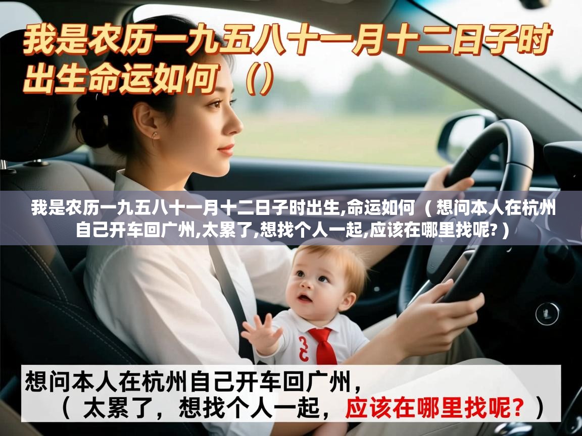  我是农历一九五八十一月十二日子时出生,命运如何  ( 想问本人在杭州自己开车回广州,太累了,想找个人一起,应该在哪里找呢? )
