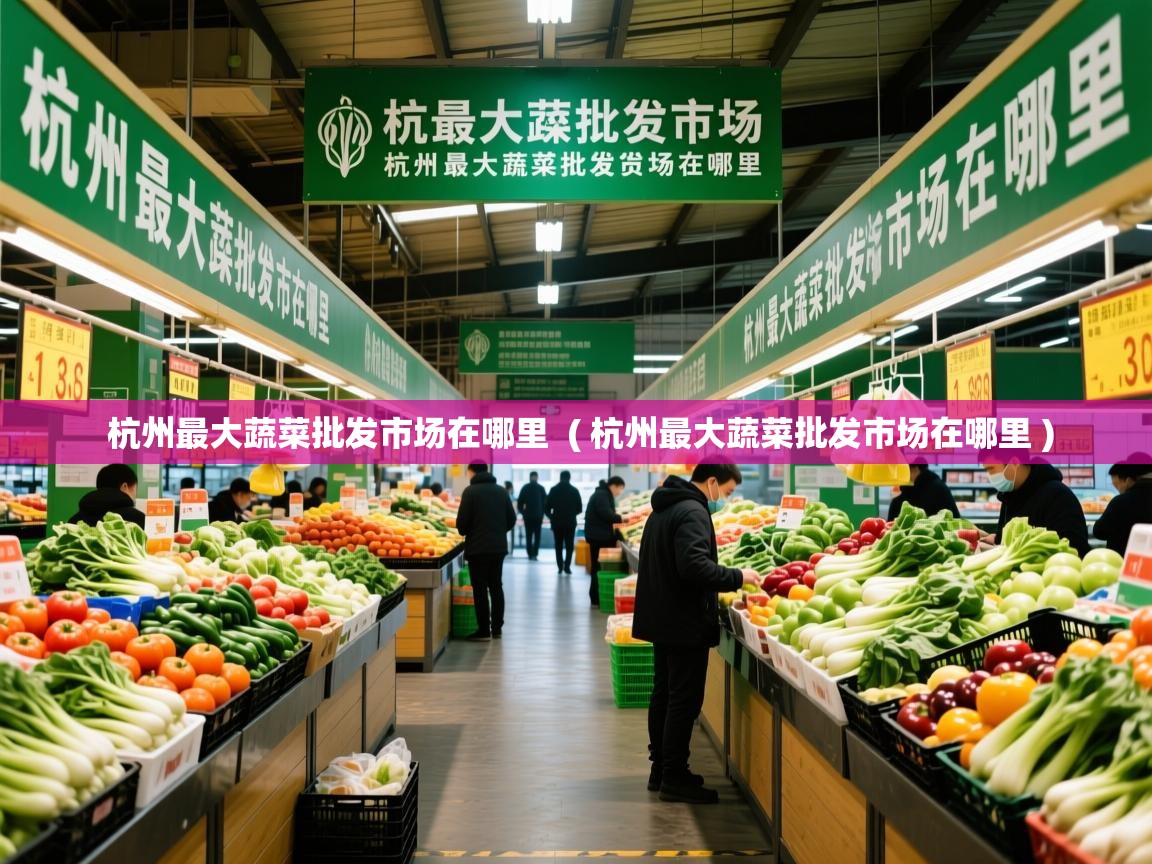  杭州最大蔬菜批发市场在哪里  ( 杭州最大蔬菜批发市场在哪里 )