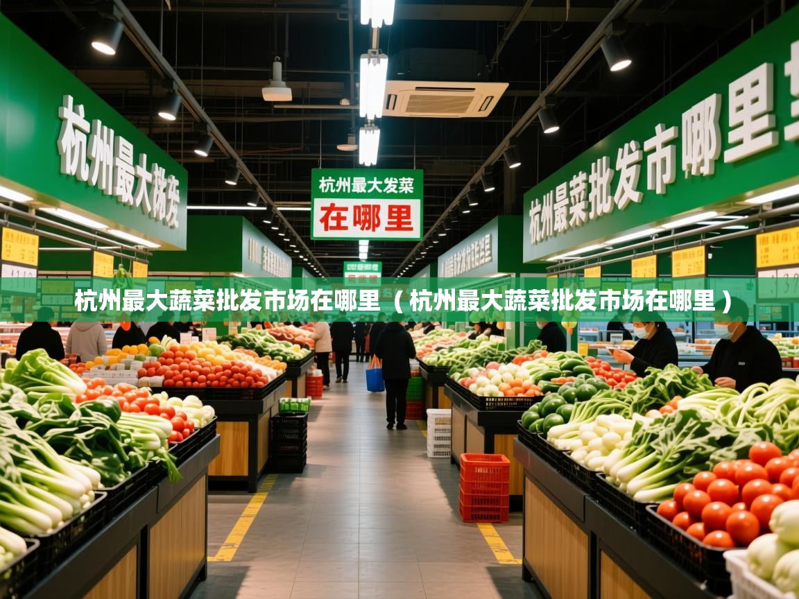  杭州最大蔬菜批发市场在哪里  ( 杭州最大蔬菜批发市场在哪里 )