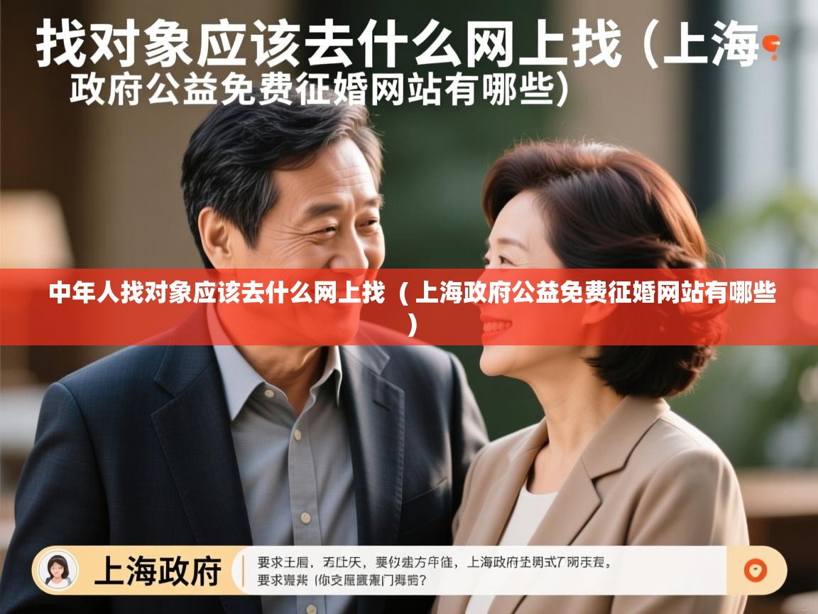  中年人找对象应该去什么网上找  ( 上海政府公益免费征婚网站有哪些 )