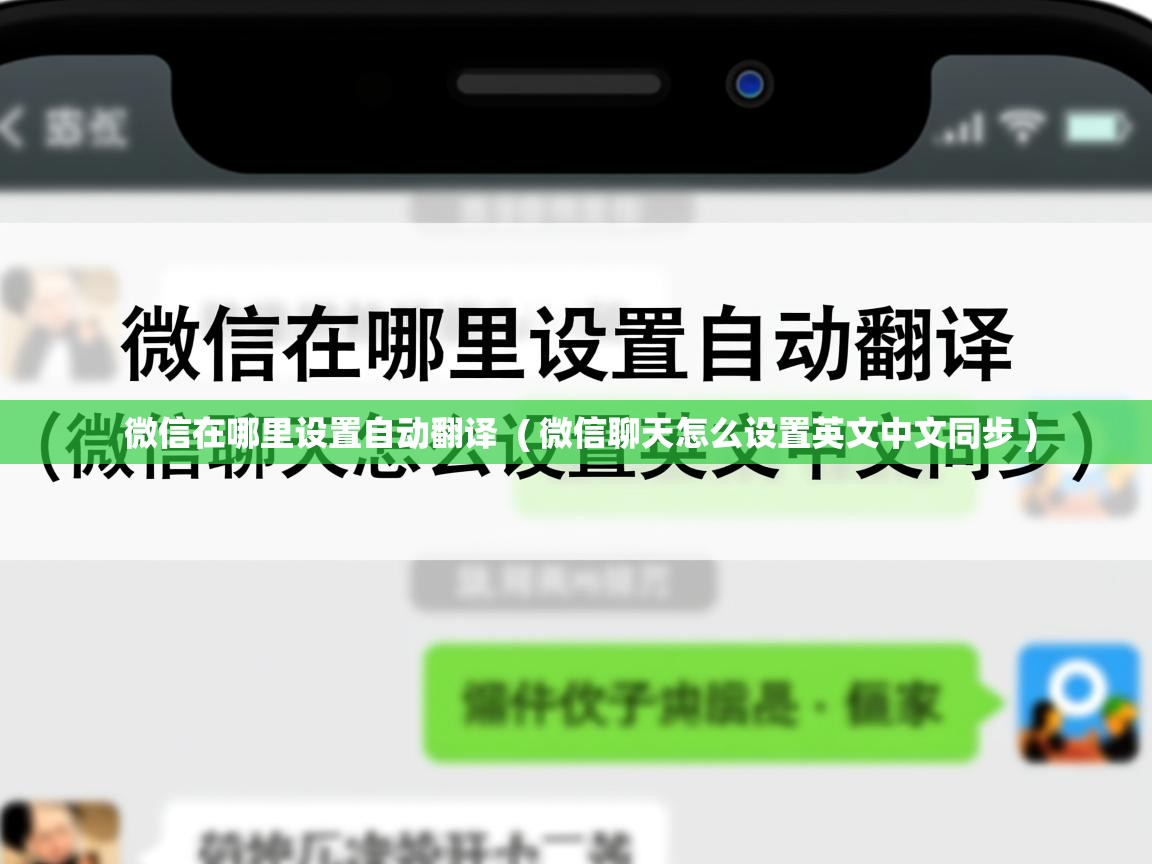  微信在哪里设置自动翻译  ( 微信聊天怎么设置英文中文同步 )